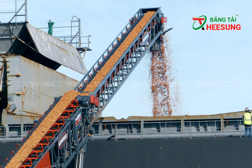 băng tải dăm gỗ
