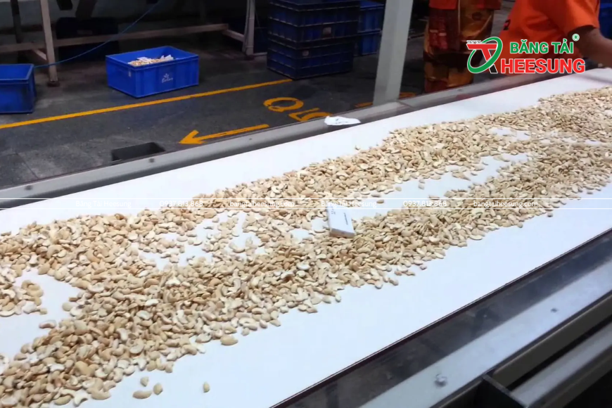 băng tải hạt điều