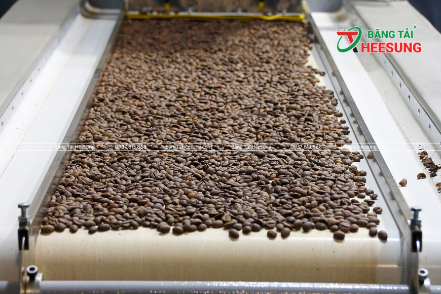băng tải cà phê Heesung