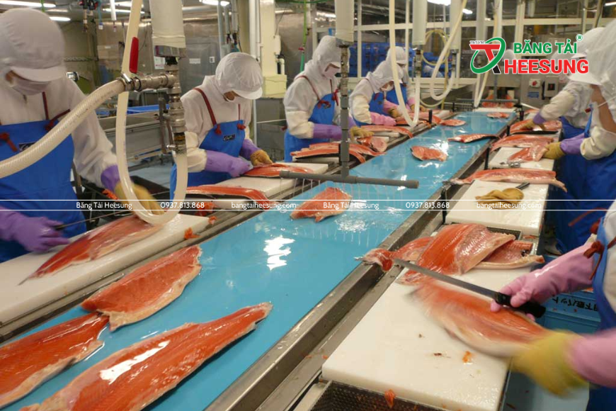 băng tải thủy sản