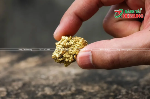 phát hiện mỏ vàng mới