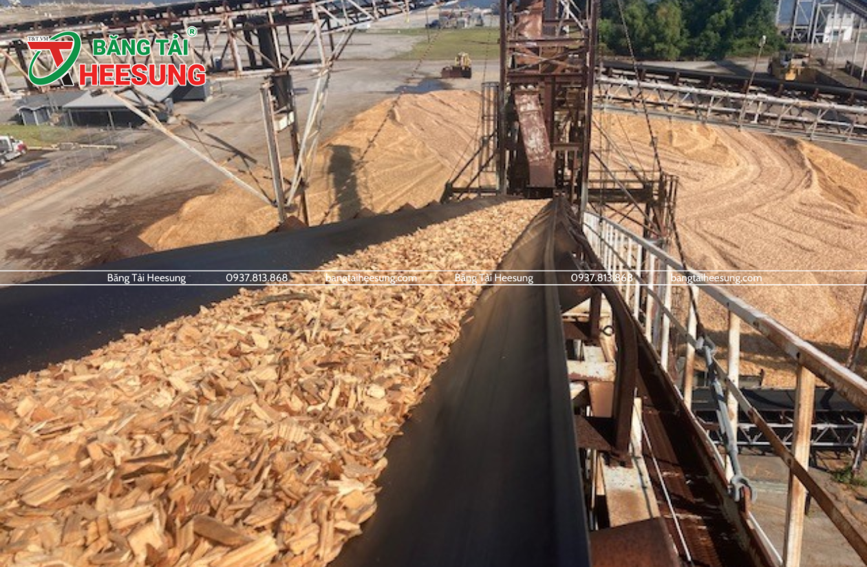 băng tải dăm gỗ
