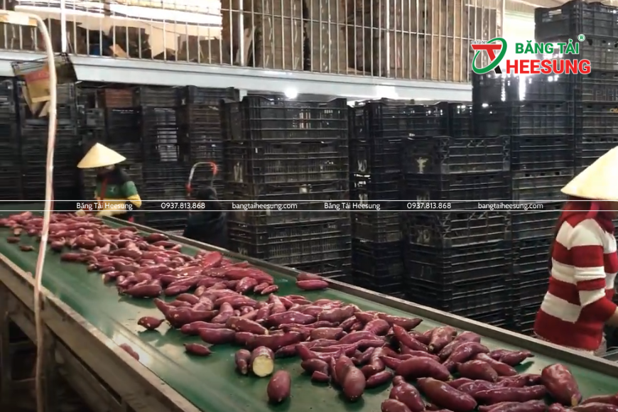 băng tải nông sản Heesung