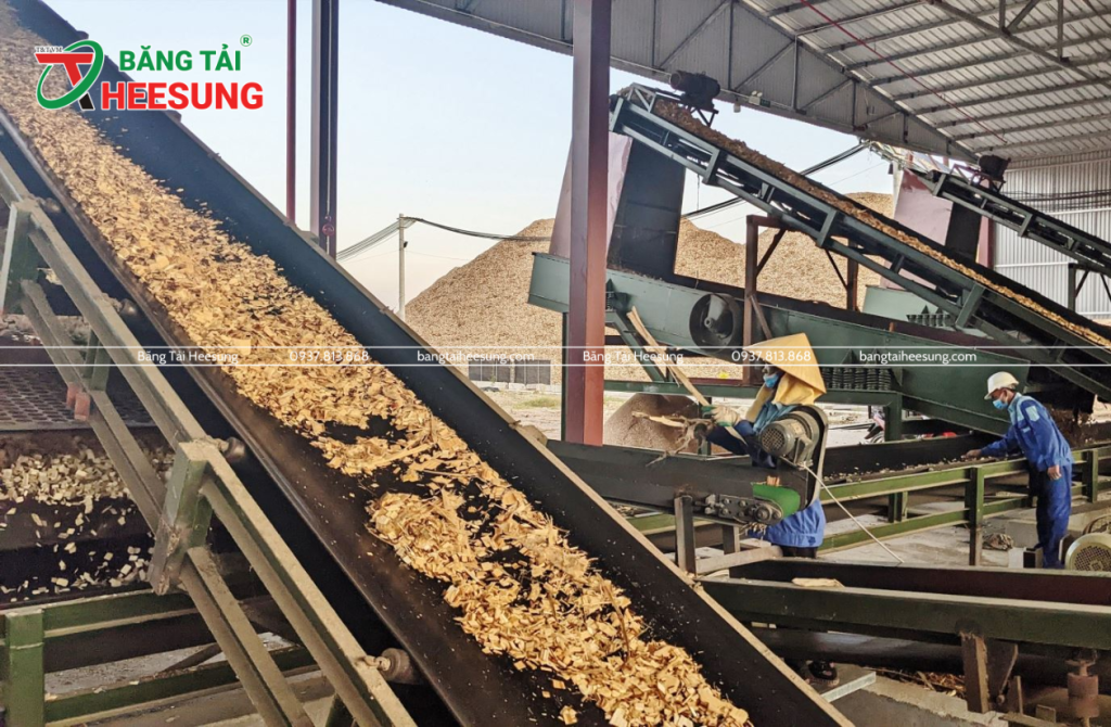 băng tải dăm gỗ