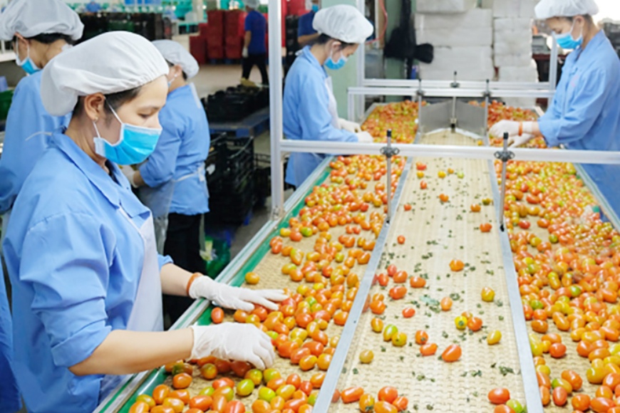 nông sản xuất khẩu