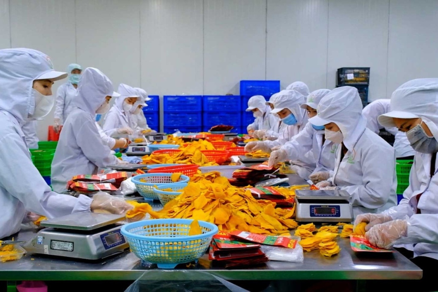 thị trường xuất khẩu nông lâm thủy sản