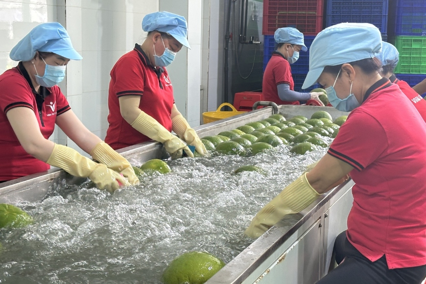 thị trường xuất khẩu nông sản