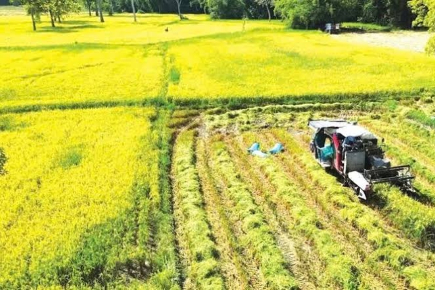 kiểm soát vùng trồng trọt