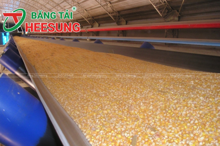 băng tải đạt chuẩn quốc tế