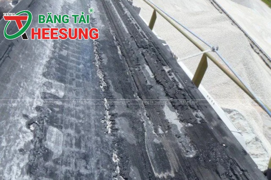 băng tải bị mòn bề mặt