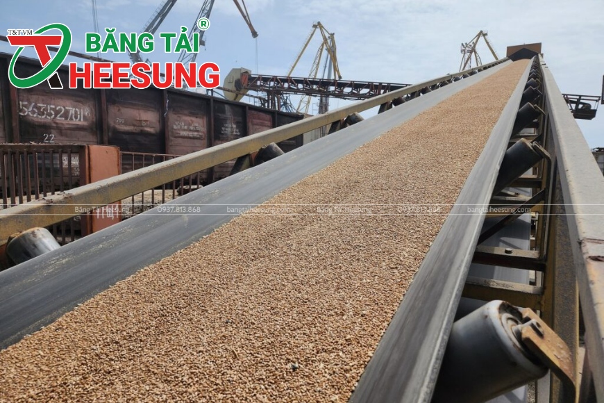 băng tải cao su EP