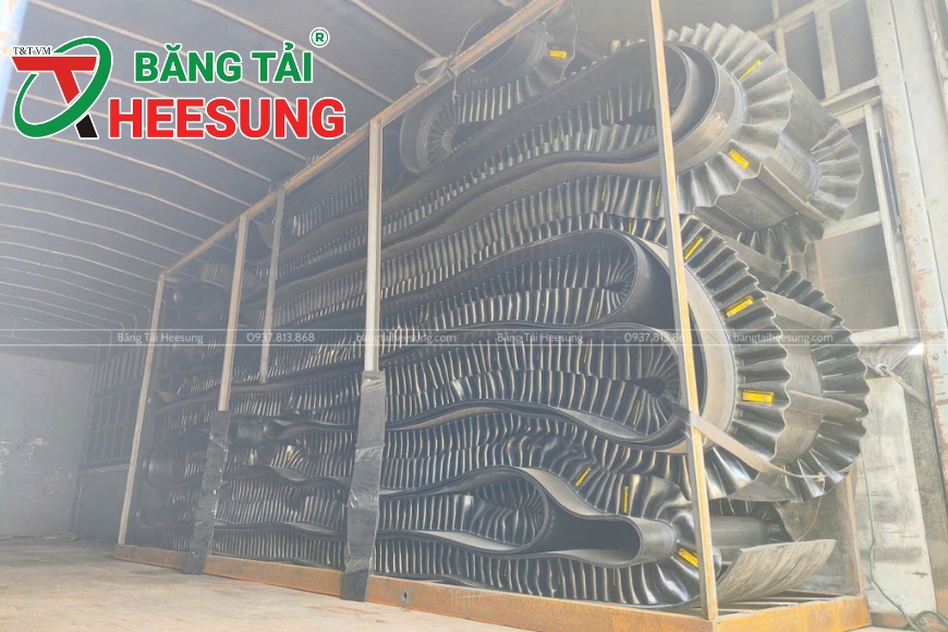 băng tải tai bèo
