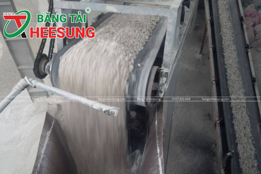 chọn mua băng tải đạt RMA