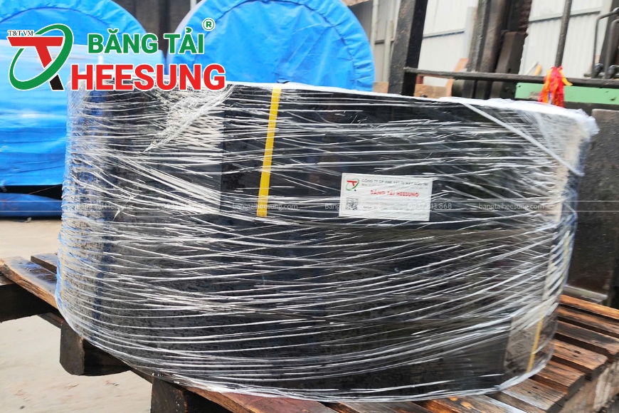 đóng gói và vận chuyển băng tải