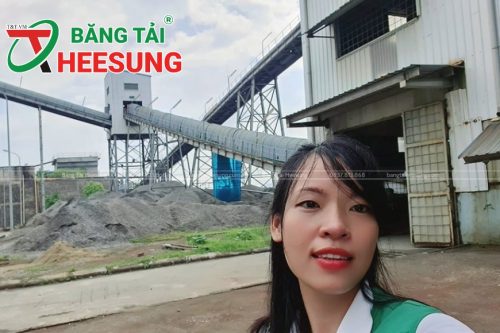 hệ thống băng tải khai khoáng