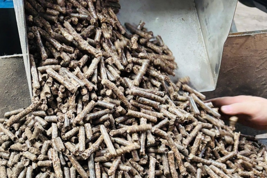 xuất khẩu viên nén