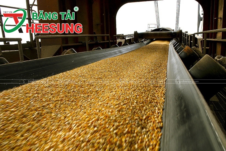 băng tải chịu dầu Heesung