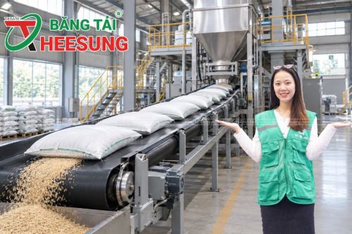 băng tải lúa