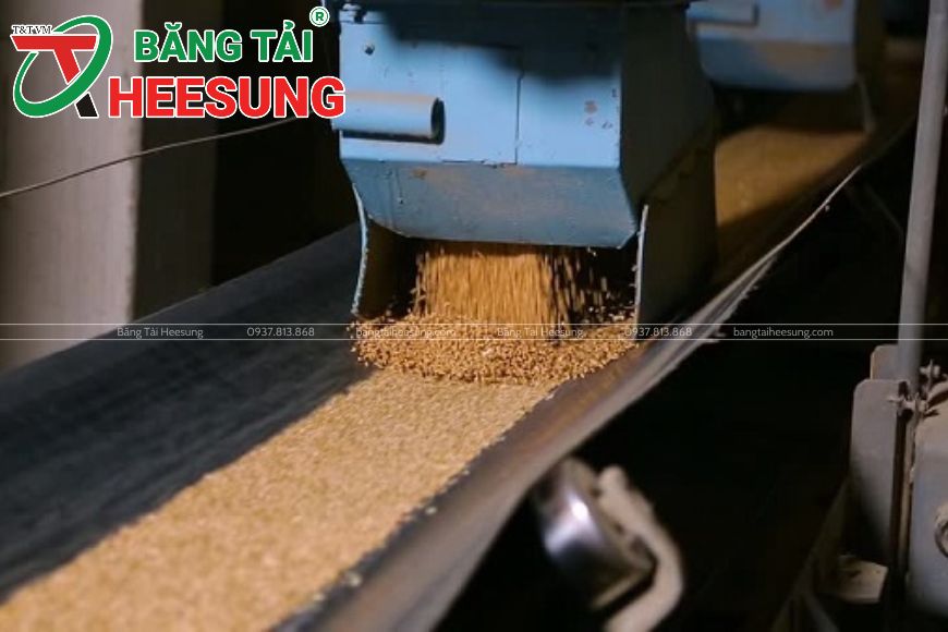 băng tải tải lúa gạo ở kho bãi